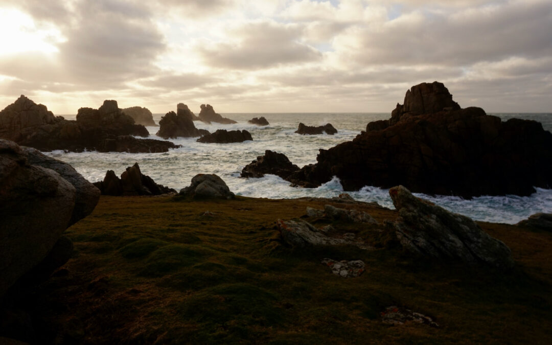 QUAND VIENDRA LA VAGUE