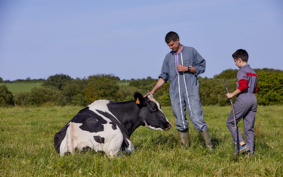 Nos voies lactées – Hentoù gwenn : la Ferme de Veleury accueillera la première date d’une tournée estivale des fermes bretonnes