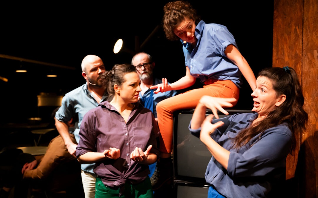 Teatr Piba et la Langue des Signes Française