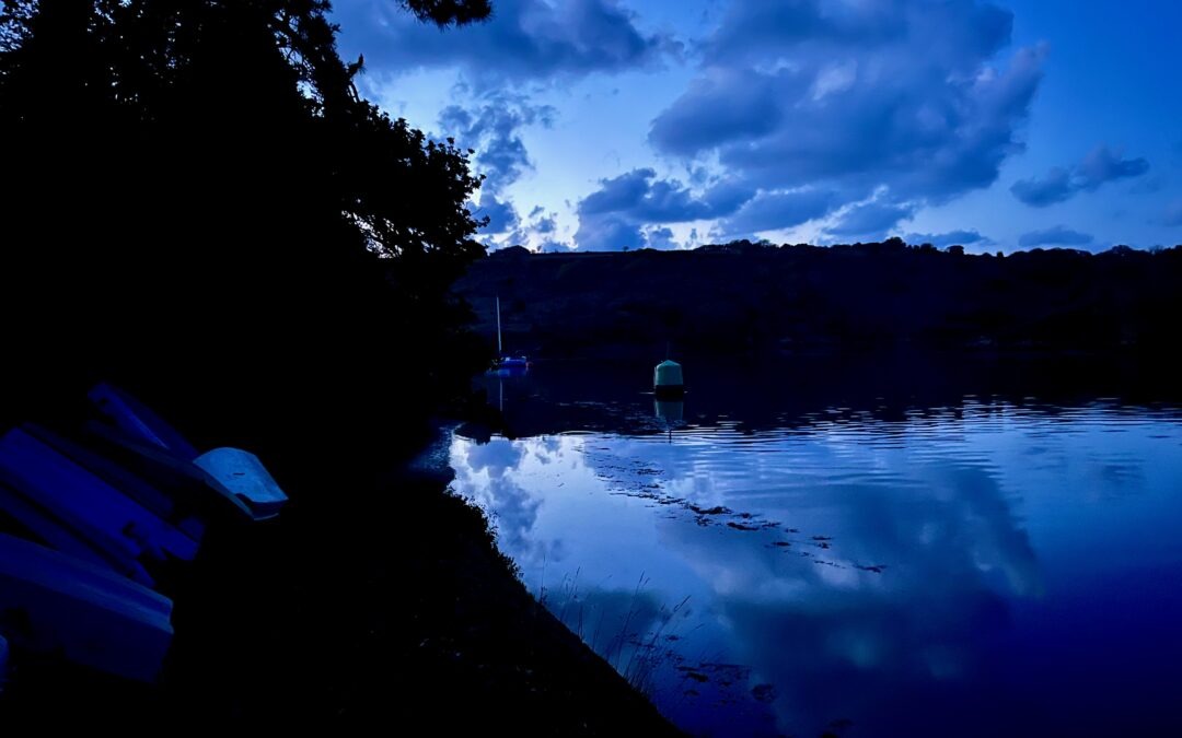 Lancement du projet de recherche-action BRIENN dans les Abers !